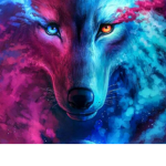 Dark shadow blue wolves