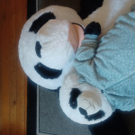 Mimi roblox panda junior