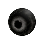 Oculus Tenebrarum