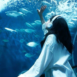 🐋