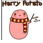 teh cool potato