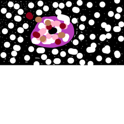 p1nk_w0lf1e's Place Number: 1