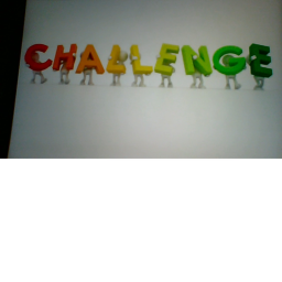 Tower of Challenges:Testing Server