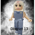 |District 13|