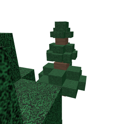 Pine trees