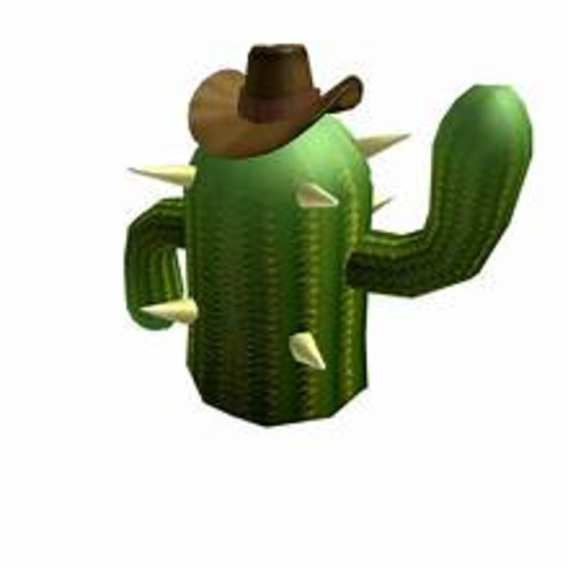 Cactus place thing that looks 2009-ish