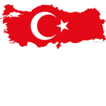TURK Team??