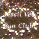 Jessie Vee fan club!