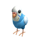 Budgie Clothes