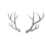 White Sparkle Time Antlers