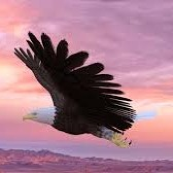 Fling into Spaghetti