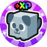 x2 Pet XP