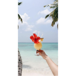 𝙩𝙝𝙚 ★