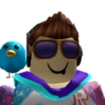 THE ROBLOX TRUE GAMER