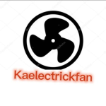 Pros-ElectrickFan