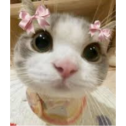 ꒷꒦꒷꒦꒷꒦꒷꒦꒷꒦꒷