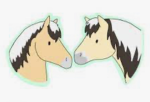 The horsey peopl