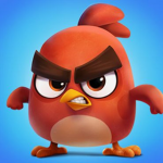 Bird Developers