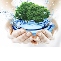 save the world