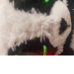 Pandi13375