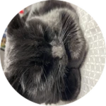Elephants Foot Roblox badge thumbnail