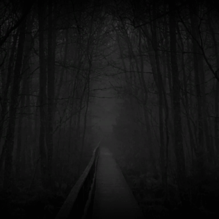 Dark eerie mystrious forest bridge