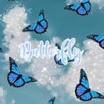 x butterfly x