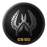 CSGO TEAM