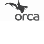 ORCA CLAN GROUP