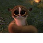 mort fan group