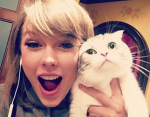 T-Swift Cats..!