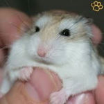 fans_ de_ KeNzA_UwU