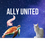 .-Allies United-.