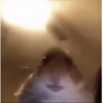 $ K a t