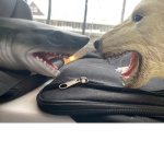 Shark puppet and bear puppets