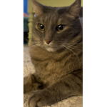 F_S_M_I_N_E_B_L_O_X_YT