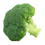 The Broccoli Gang Official