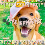~ Tay's.Apparel's ~