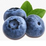 Blueberry Empire
