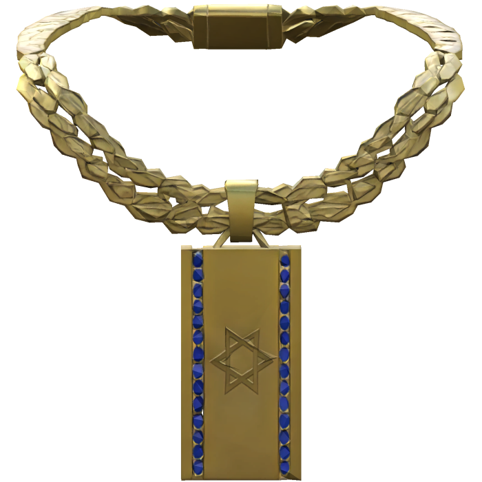 Gold Iced Out Trendy Israel Isreal Chain 3.0