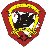 Crni Labudοvi