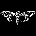 Cicada Development Studios