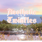 Aesthetic Twinkles