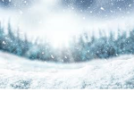Snowwolf group