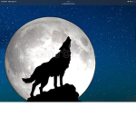 Lone-Wolf-Studios
