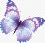 Crystal Butterflys