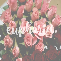  |e ❁| EUPHORIA. Clothing Store icon