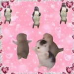 Emotes UGC!