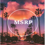 Montana State Roleplay (MSRP)