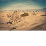 Dust Games